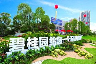 许昌碧桂园最新爆料,揭秘高端住宅区的华丽蜕变